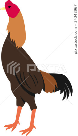 Military chicken 24348967