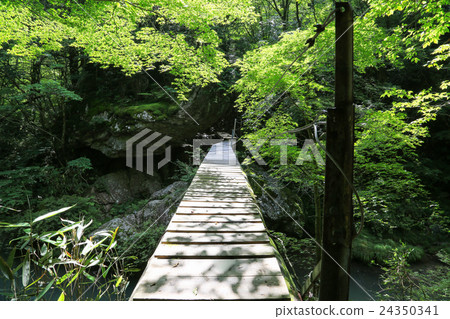 Uchikocho愛媛縣Odagariyama山谷的風景 Uchikocho愛媛縣Odagariyama山谷的風景 24350341