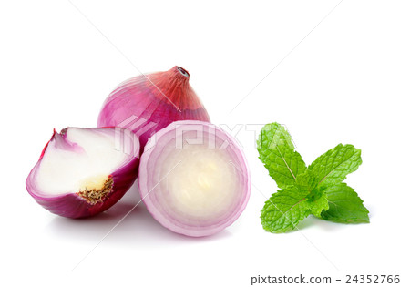 shallots and mint isolated on white background shallots and mint isolated on white background 24352766
