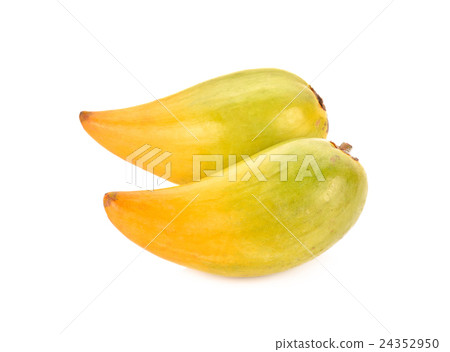 Pouteria campechiana on white background 24352950