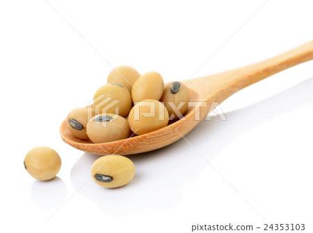 soybean in wooden spoon on white background soybean in wooden spoon on white background 24353103