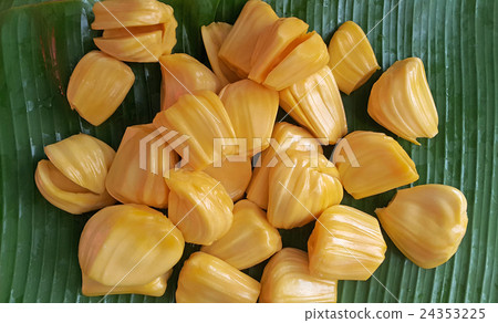 jackfruit on banana leaf jackfruit on banana leaf 24353225