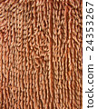 Old dirty doormat to wipe feet. Background texture 24353267