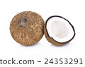 coconut on white background 24353291