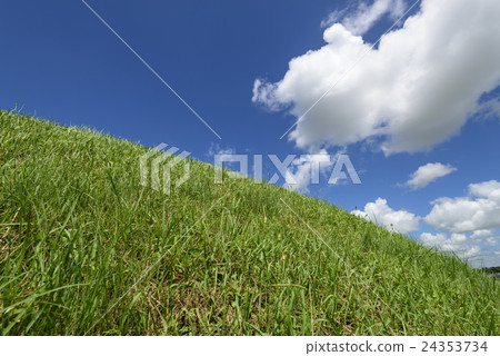 夏天的天空和草坪 夏天的天空和草坪 24353734