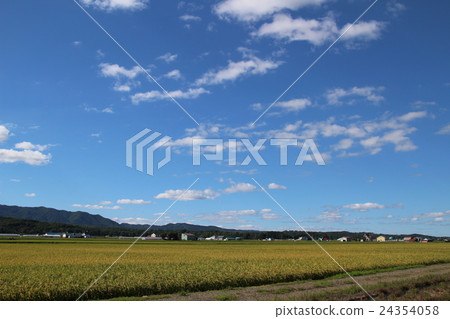 Countryside scenery of Hokkaido summer Countryside scenery of Hokkaido summer 24354058