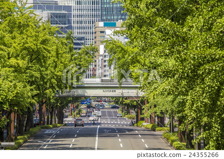Nagoya-shi Sakura Dori 24355266