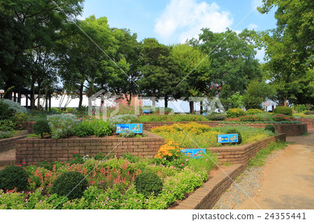 Lake Hamana Garden park contact flower bed Lake Hamana Garden park contact flower bed 24355441