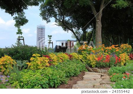 Lake Hamana Garden park contact flower bed Lake Hamana Garden park contact flower bed 24355442
