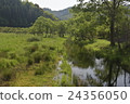 Marshland Part 2 24356050