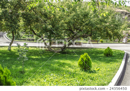 landscape, footpath, urban 24356450