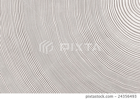 Tree rings Tree rings 24356493