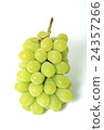 Muscat 24357266