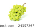 Muscat 24357267