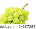 Muscat 24357268