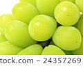 Muscat 24357269