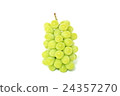 Muscat 24357270