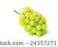 Muscat 24357271