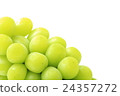 Muscat 24357272