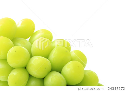 馬斯喀特 馬斯喀特 24357272