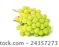 Muscat 24357273