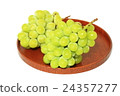 Muscat 24357277