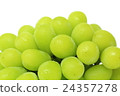 Muscat 24357278