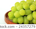 Muscat 24357279