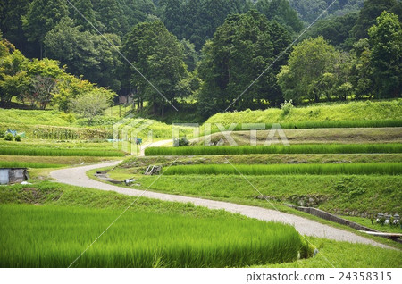 Shogakuin Imperial Rice露台 24358315