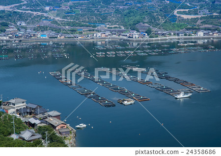 Uwa Sea farming raft and terraced fields (Ehime prefecture Yawatahama Kawakami) 24358686
