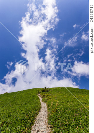 底森林（Kanegumori） 24358713