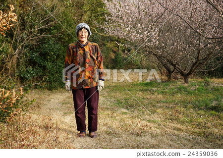 在外地做蔬菜的老年人 24359036