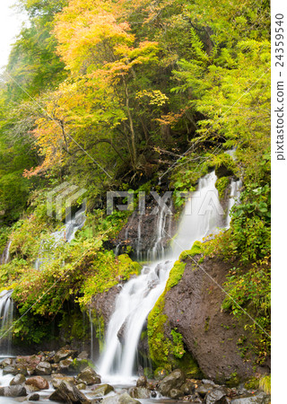 龍瀑布 龍瀑布 24359540