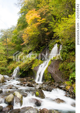 龍瀑布 龍瀑布 24359542