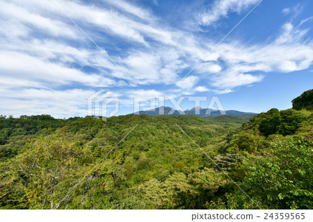 Foot of Yatsugatake mountain Foot of Yatsugatake mountain 24359565