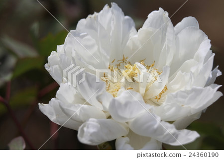 按鍵 按鍵 24360190