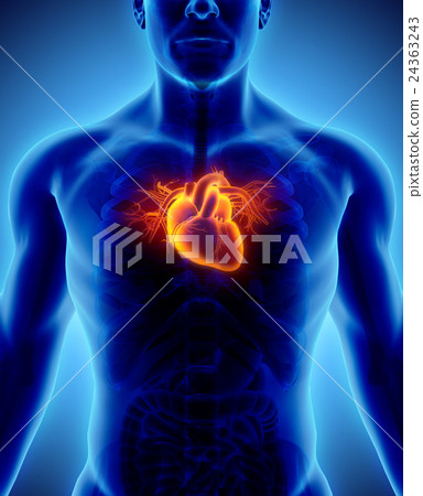 3D Illustration Of Heart, Medical Concept. - Stock Illustration ...