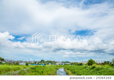 Rural landscape Rural landscape 24364169