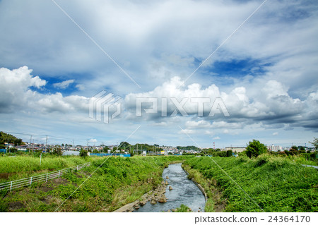 Rural landscape Rural landscape 24364170