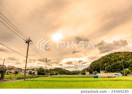 Rural landscape at dusk 24364285