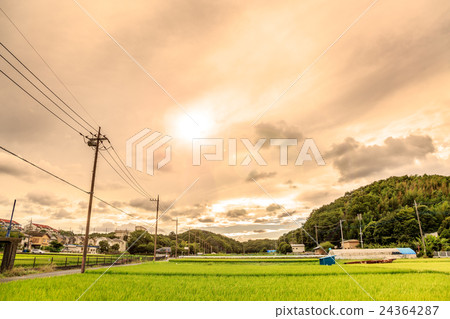 Rural landscape at dusk Rural landscape at dusk 24364287