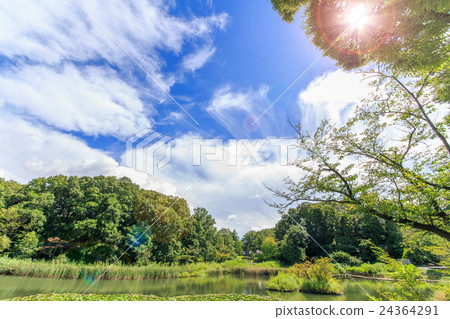 Rural landscape Rural landscape 24364291