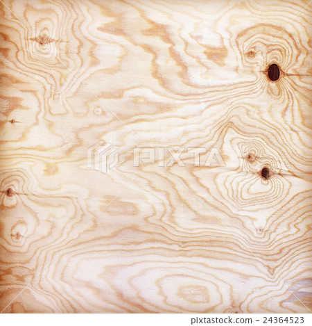 plywood texture with natural wood pattern 24364523