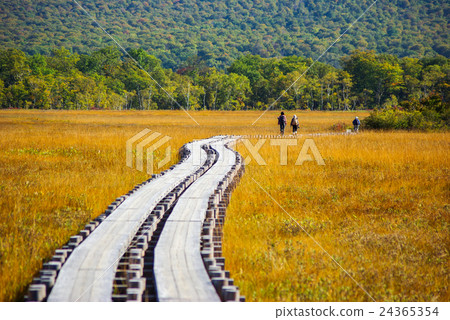 去草秋葉的Ozegahara 24365354