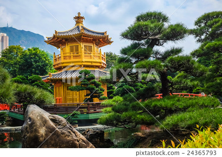 Golden Pavilion Chi Lin Nunnery Temple Golden Pavilion Chi Lin Nunnery Temple 24365793
