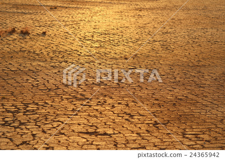 the golden brick road the golden brick road 24365942
