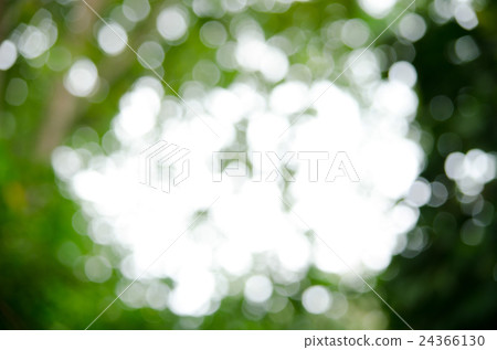 BOKEH GREEN BACKGROUND 24366130
