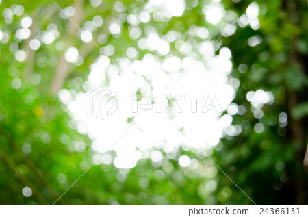 BOKEH GREEN BACKGROUND BOKEH GREEN BACKGROUND 24366131