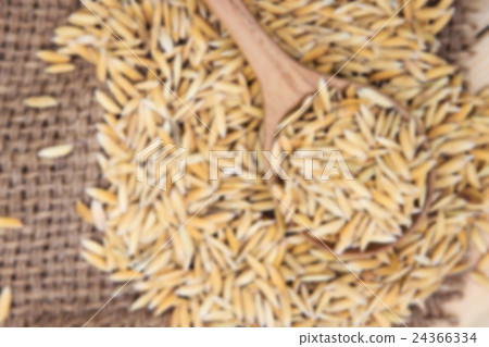 Paddy rice on wooden spoon with gunny sack Paddy rice on wooden spoon with gunny sack 24366334