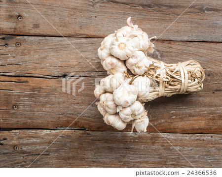 garlic 24366536
